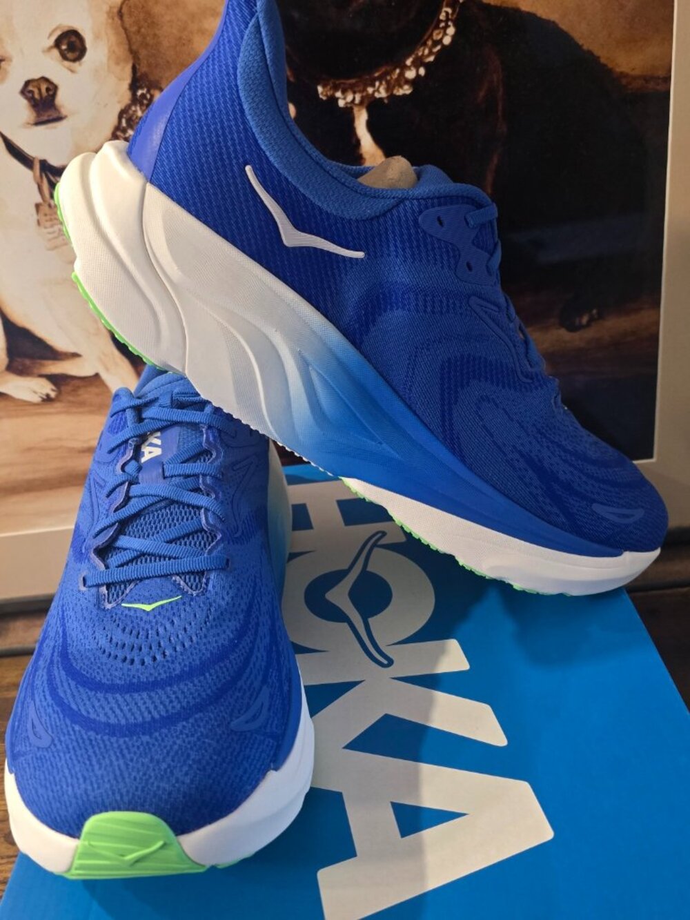 Hoka One One Arahi 8 1168690-CBLTB Blue Running Shoes Sneakers Mens 10.5 NEW